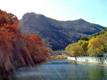 管家婆免费正版资起大全，莱芜市区地图